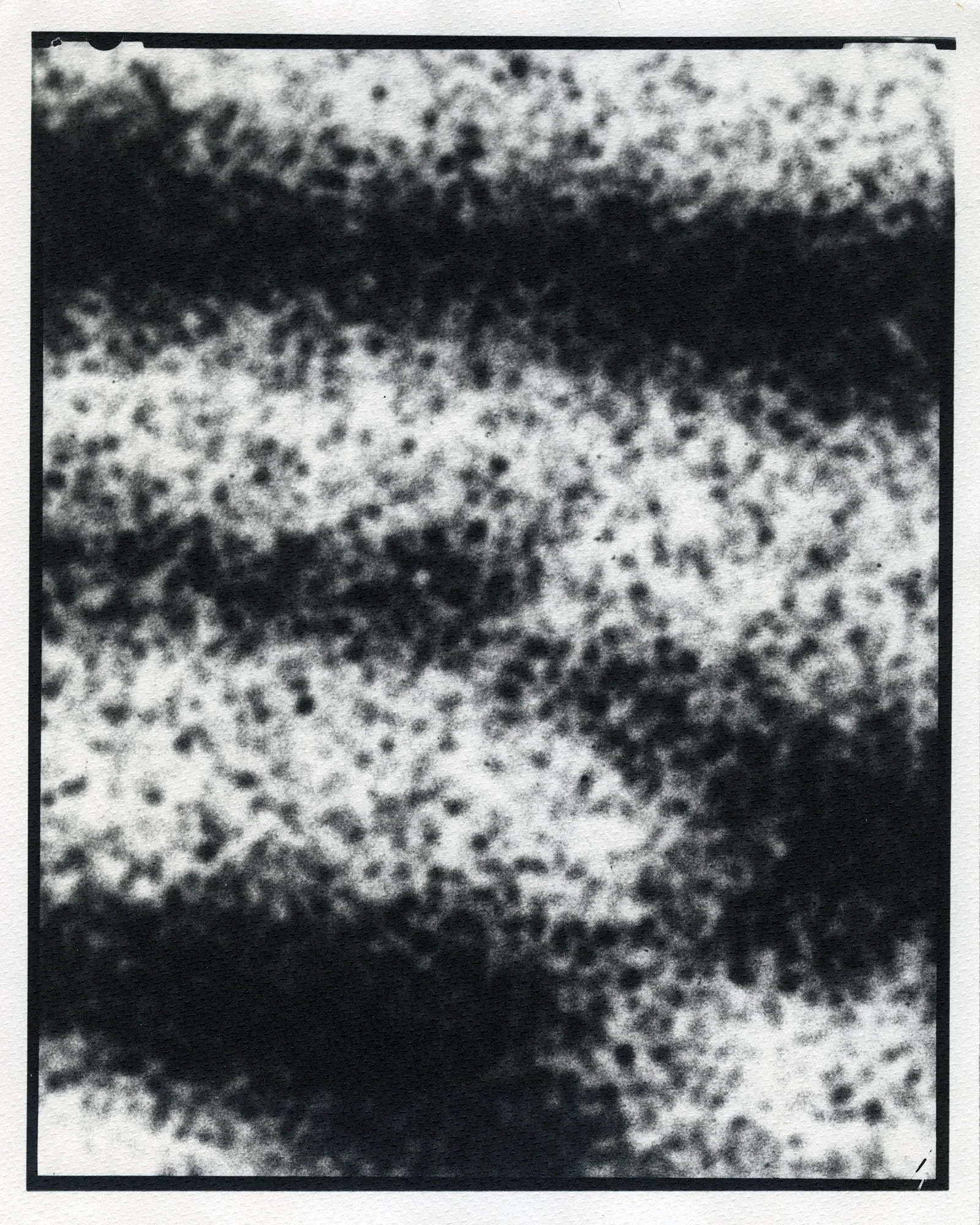 StigMarlonWestonbilde1.jpg