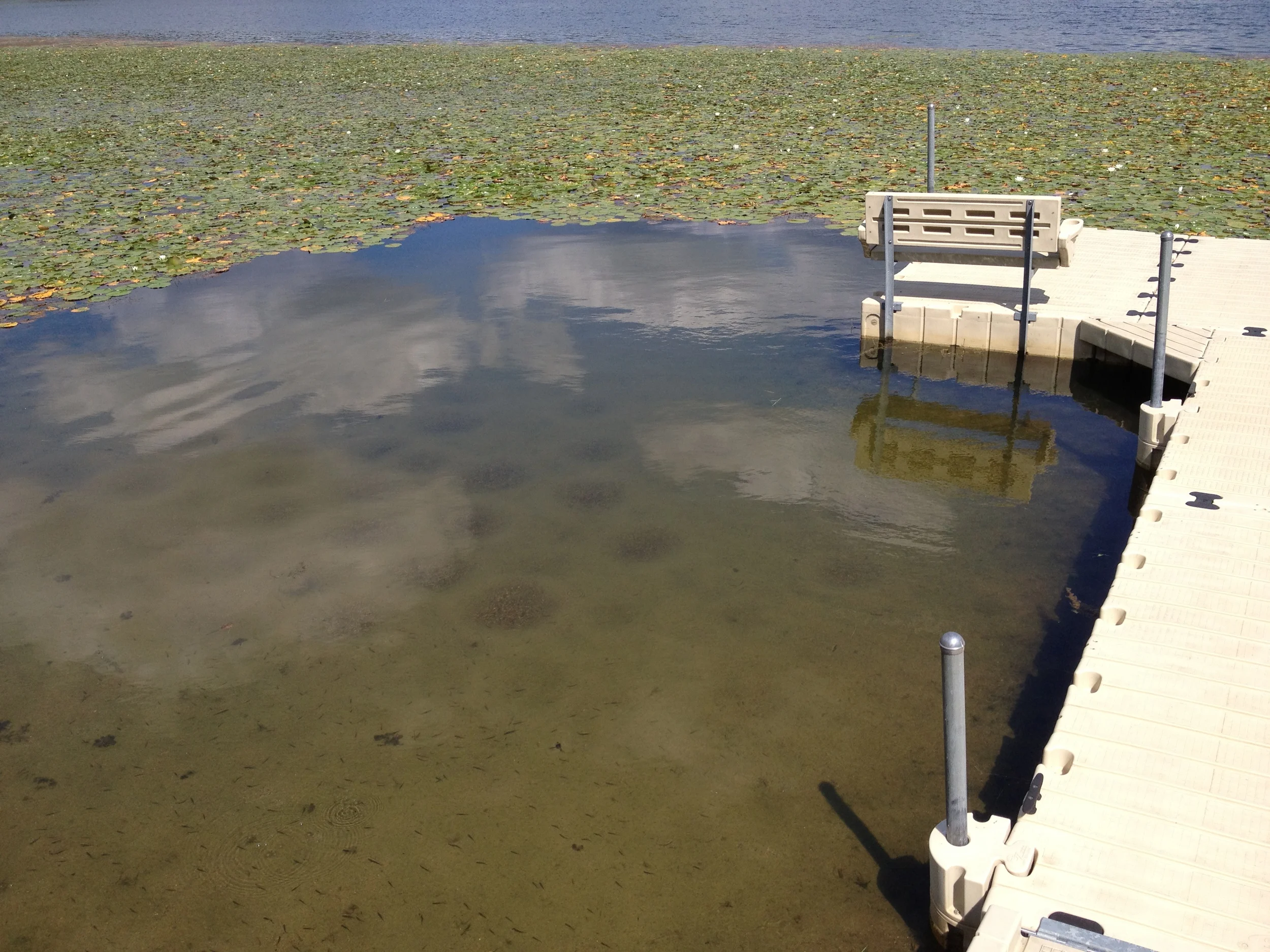Lake Sanding - Hamburg,MI