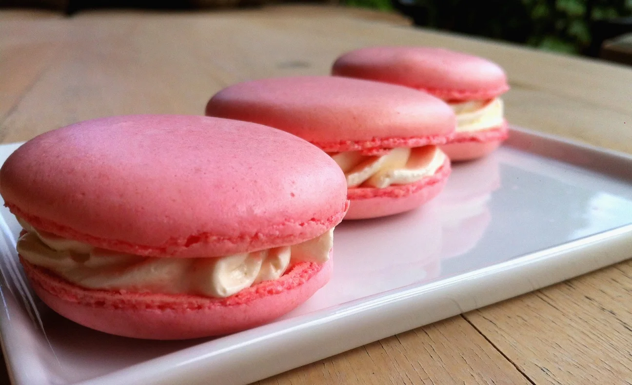 French Macaron with Vanilla and Mint