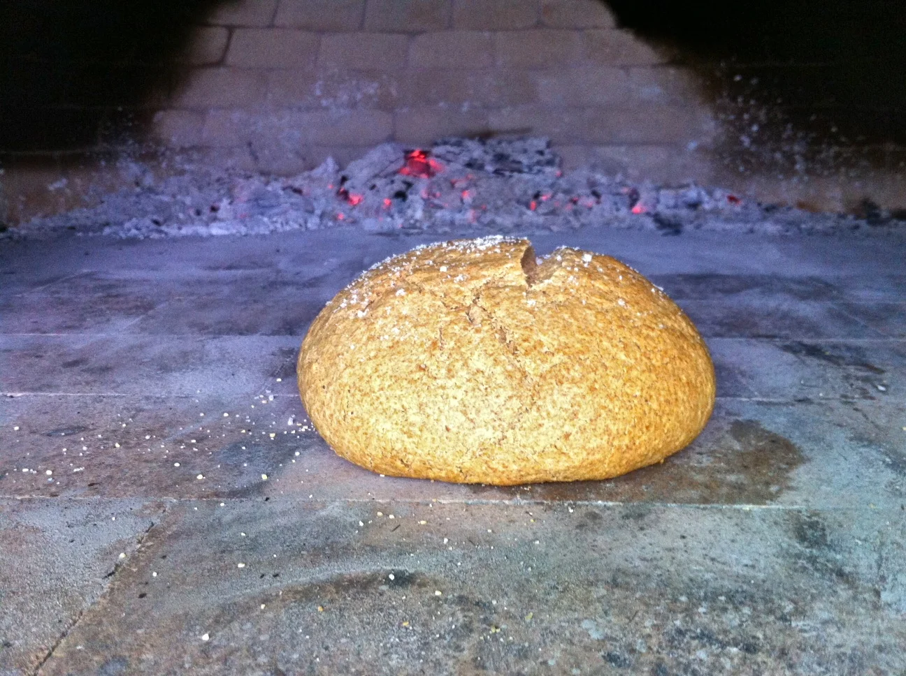 Wood Roasted Einkorn Bread