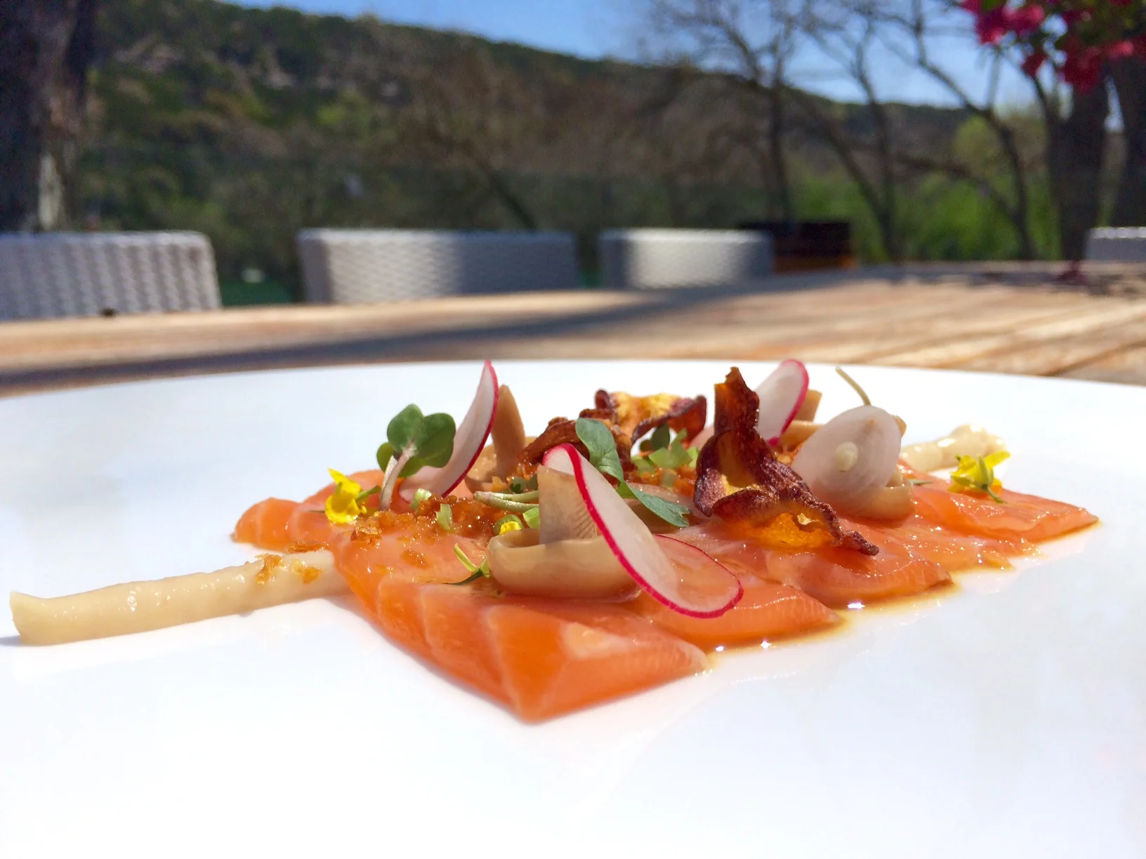 Salmon Sashimi with Pickled Mushrooms, Miso and Onion