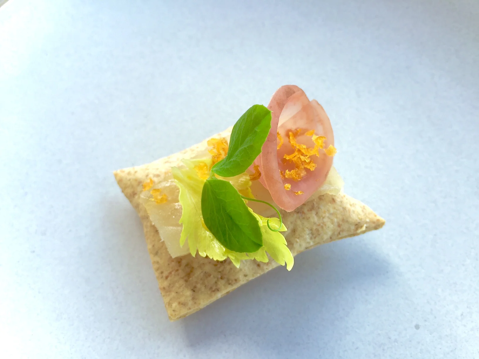 Puffed Rye Cracker, Cured Ivory Salmon, Radish, Bottarga 