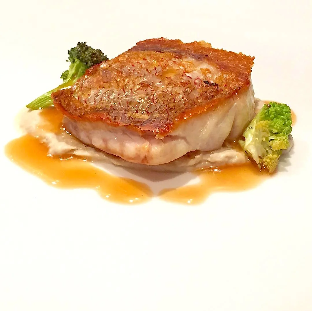 Snapper.jpg