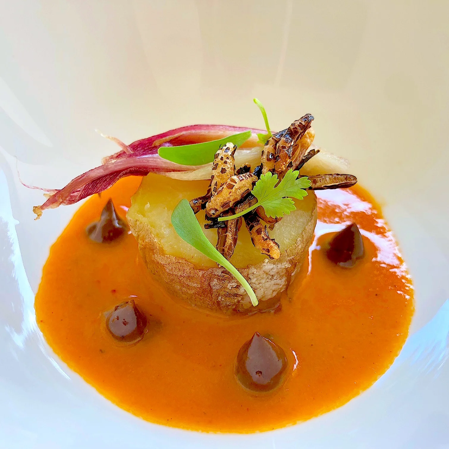 Sweet Potato with Thai Red Curry, Black Garlic, and Myoga