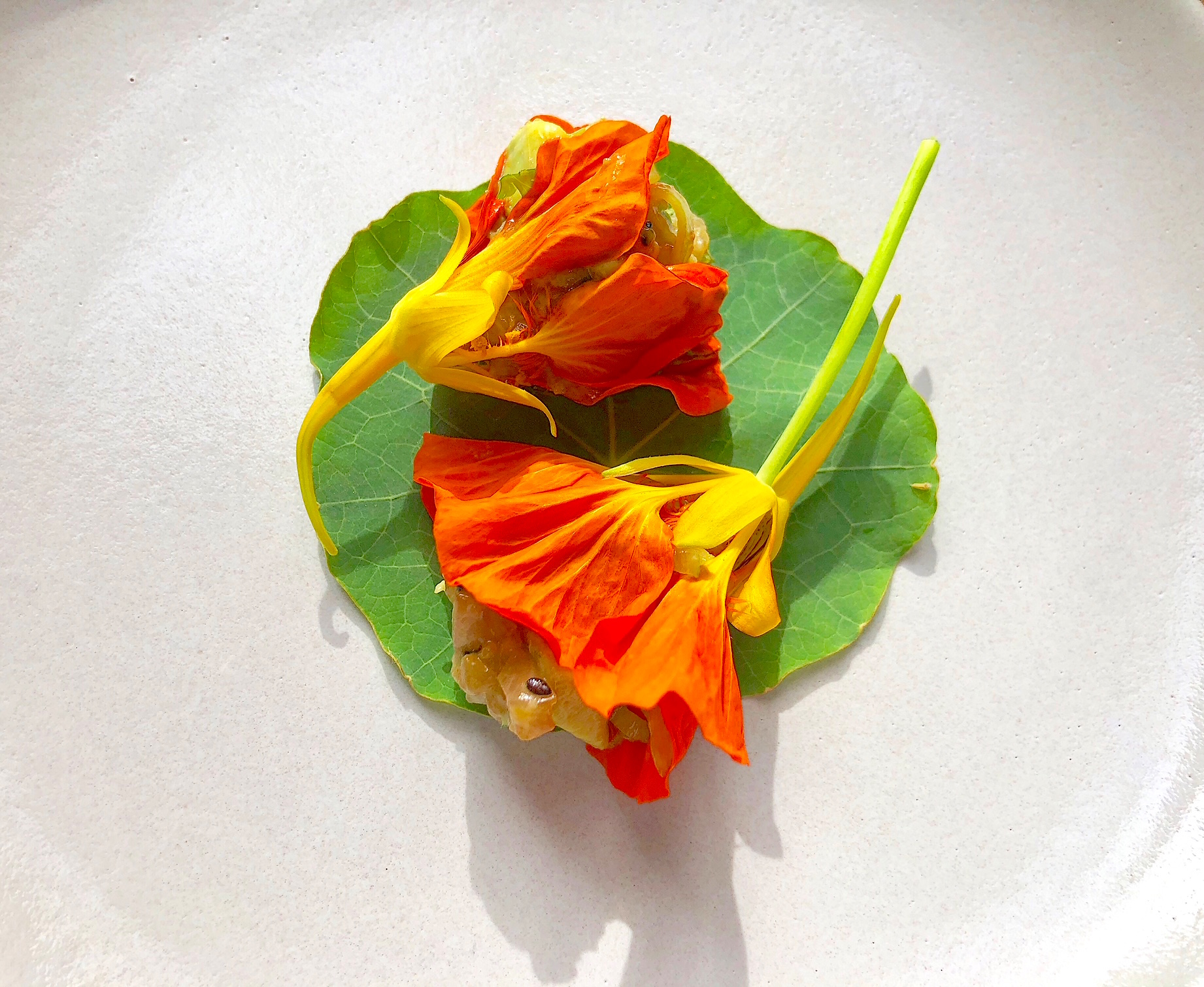 Kampachi with Nasturtium Flowers