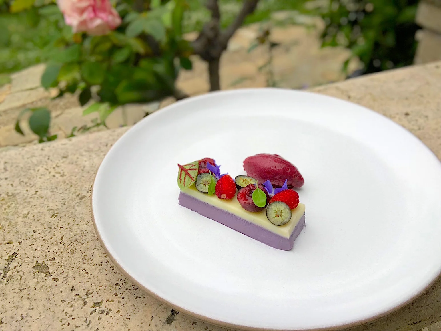 blueberry panna cotta 2 .jpg