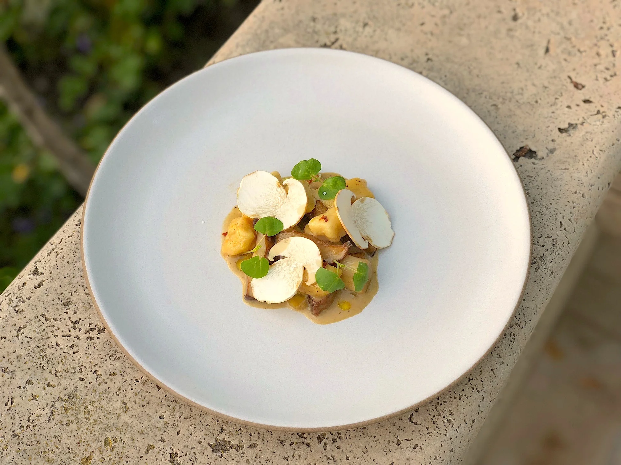 Gnocchi, porcini, duck jus, wheatgrass .jpg