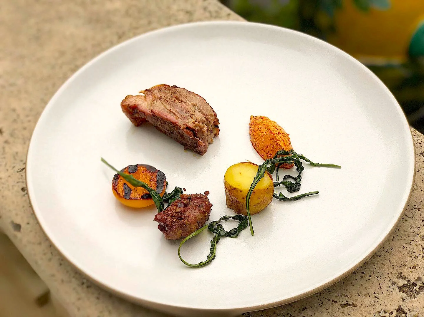 Duck, Harrisa , Apricot.JPG