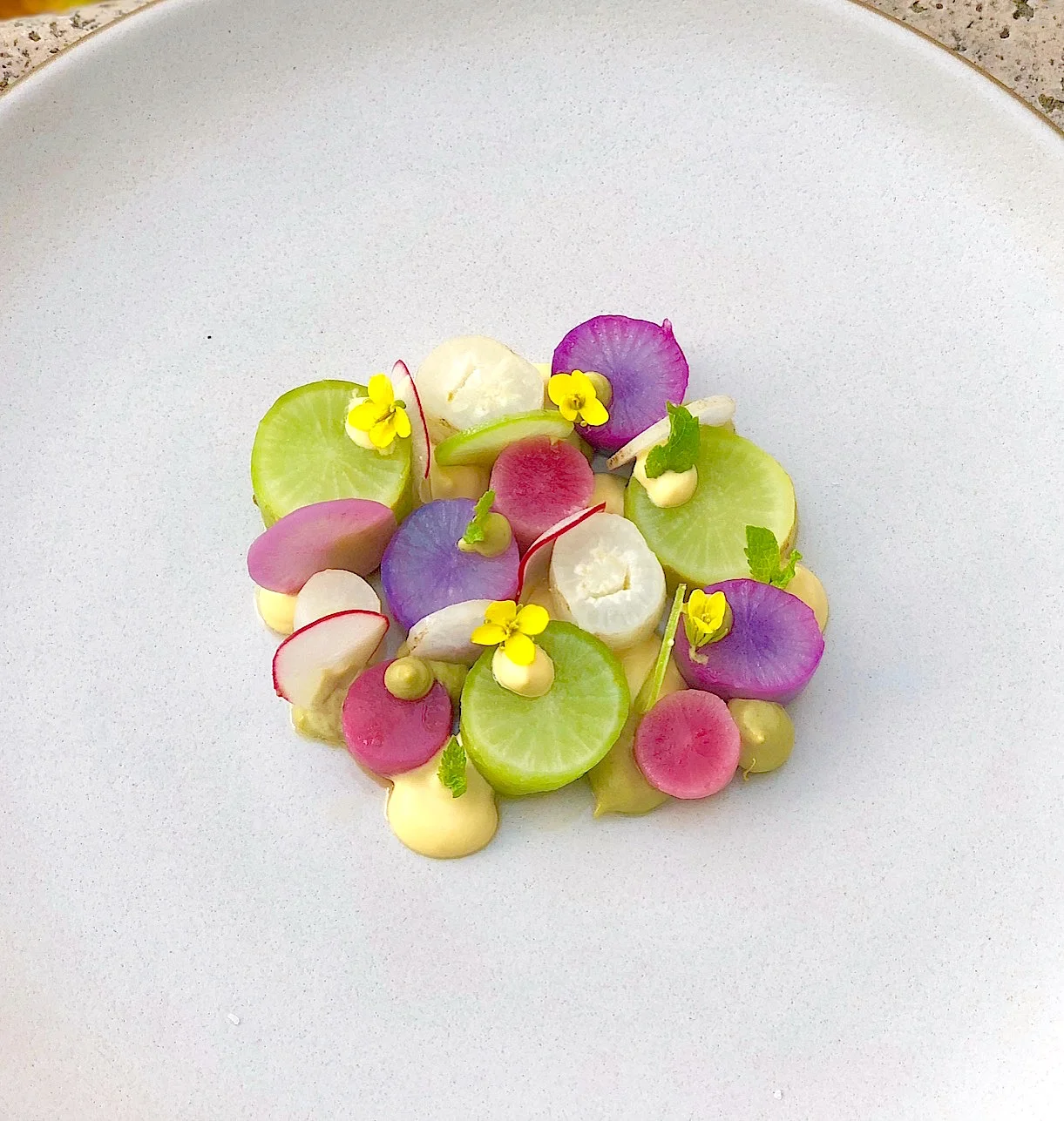 radish 2.jpg
