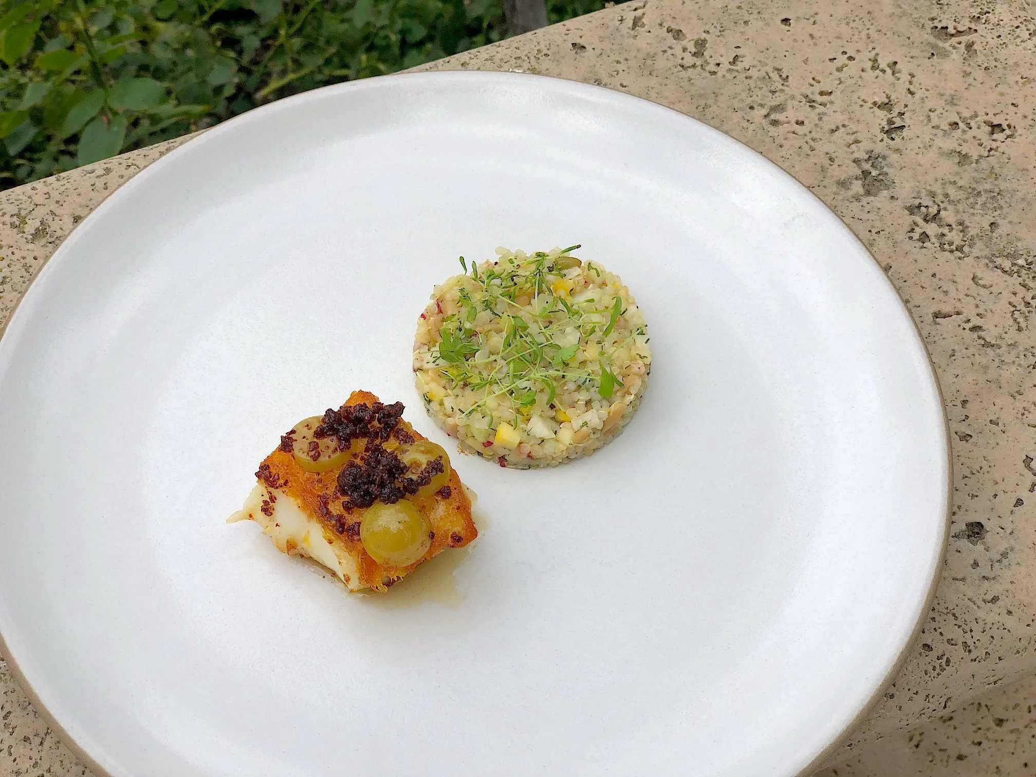 Sea Bass, Quinoa, Pumpernickel 