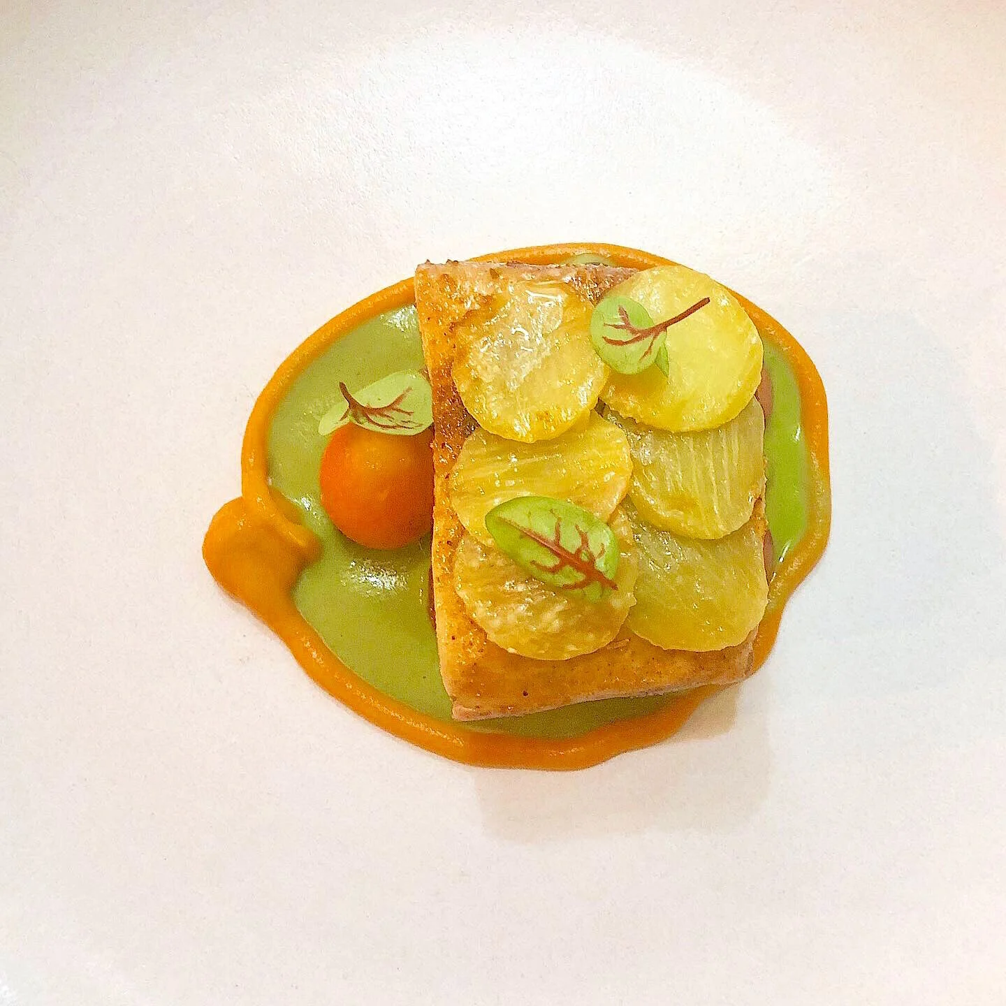 Mahi Mahi with Apricot, Carrot, Anasazi Bean and Eggplant