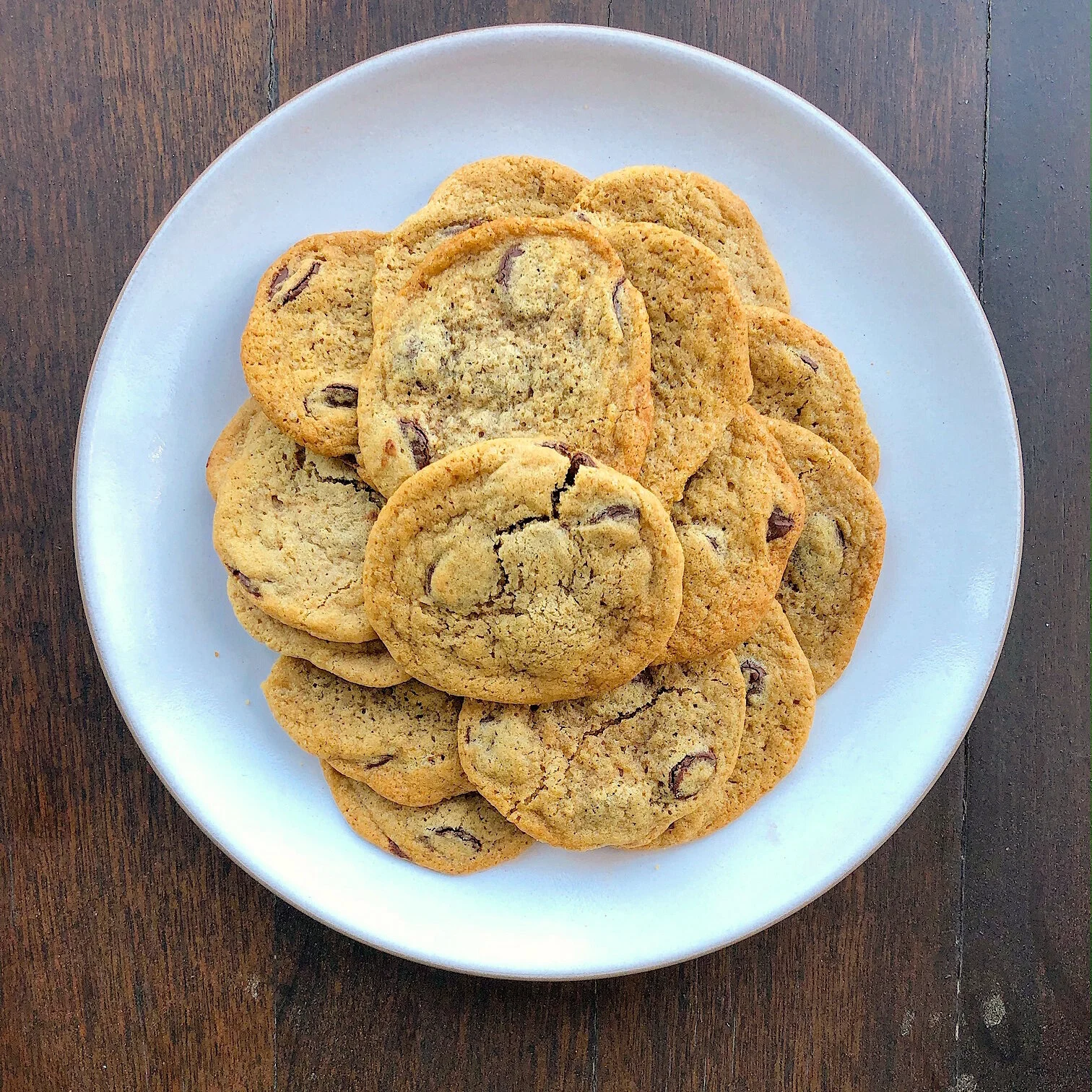 Soft Chocolate Chip Cookies 