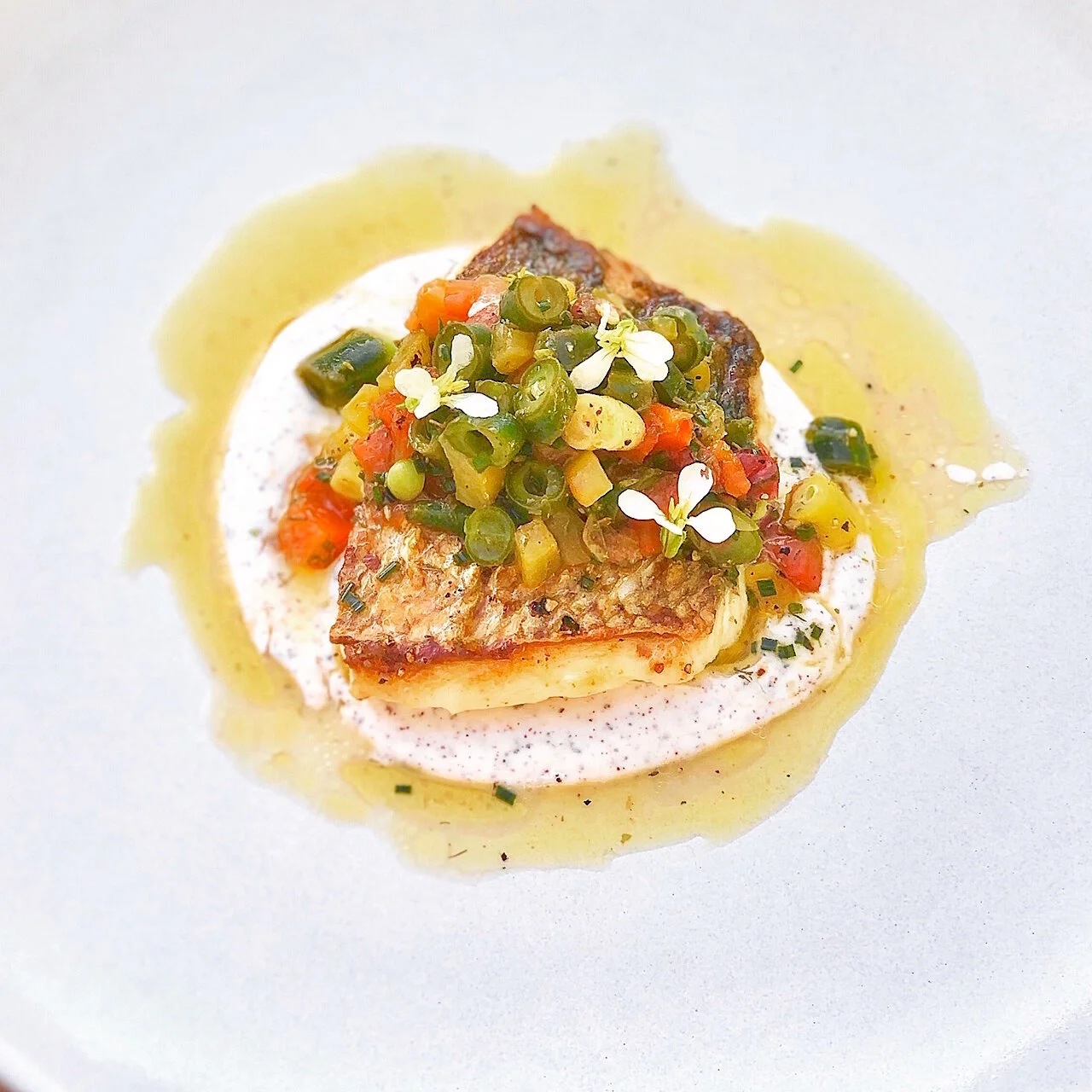 New Zealand Sea Bream with Sumac Yogurt, and Green Beans 