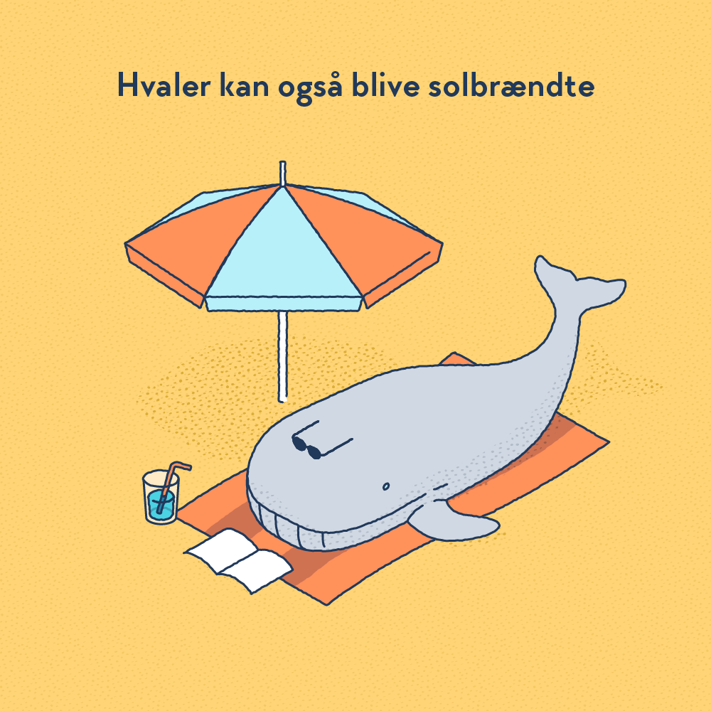 whales-tan_DA_square.png