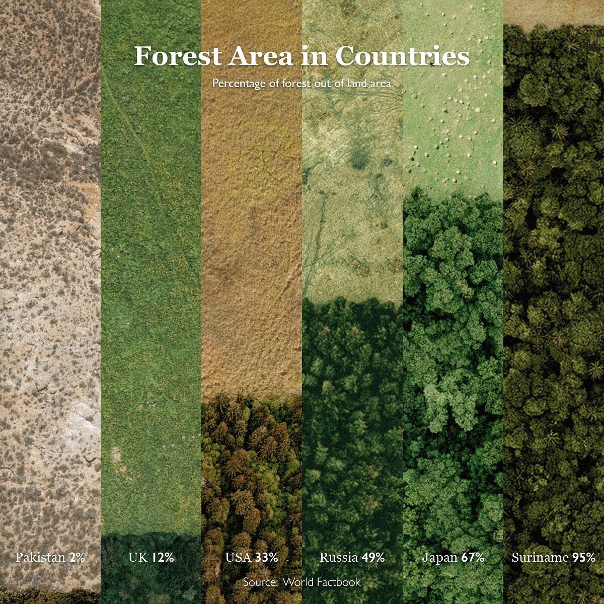 Forests cover about 30% of the land area on Earth - Suriname is one of the most forested countries with around 95% of the land covered with forests - about 15 million hectares. Pakistan on the other hand is very poor in forests due to low precipitati