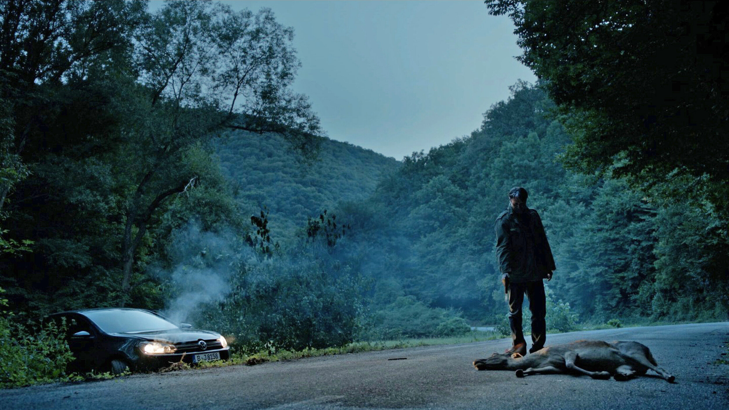 road kill