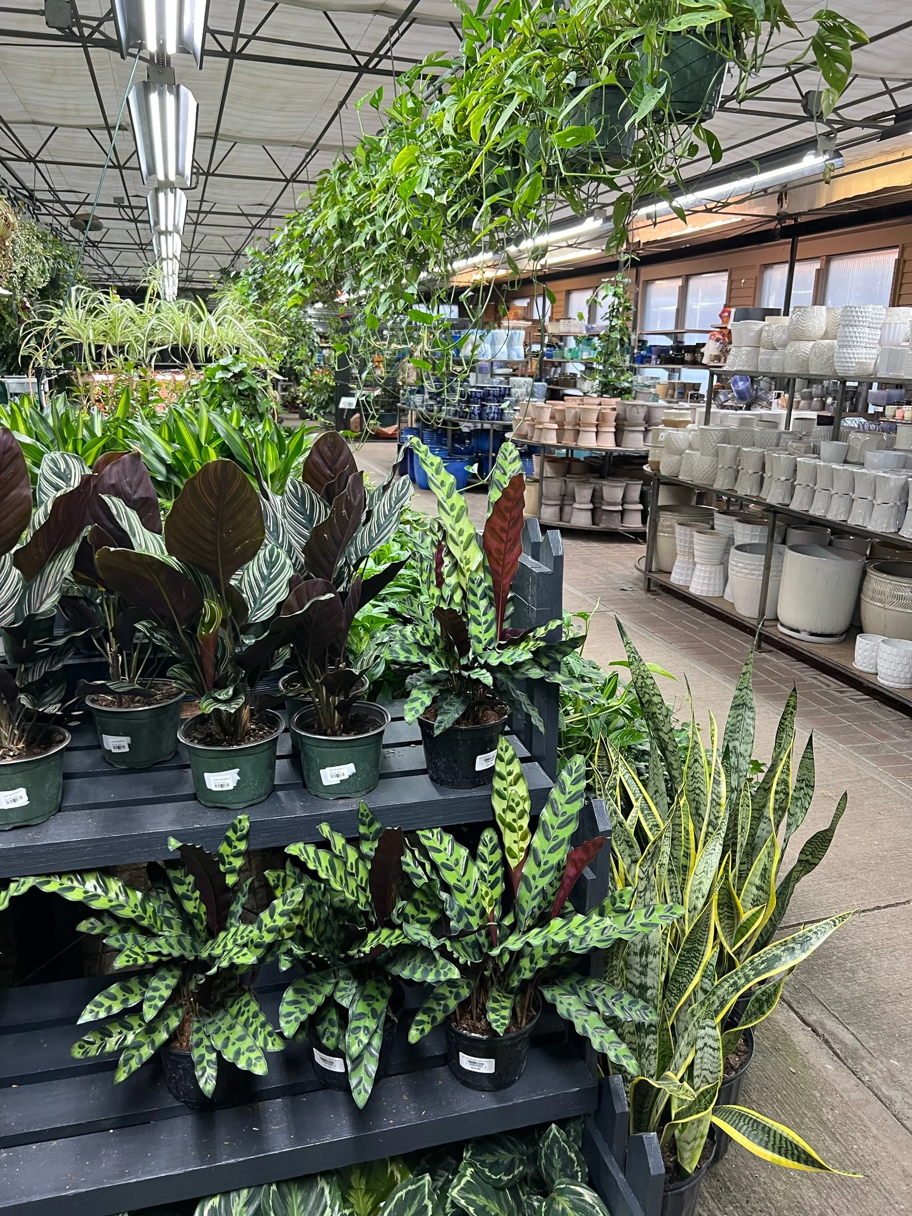 Greenhouse — J&M Home and Garden