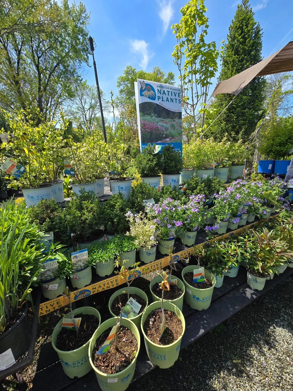 Nursery  J&M Home and Garden
