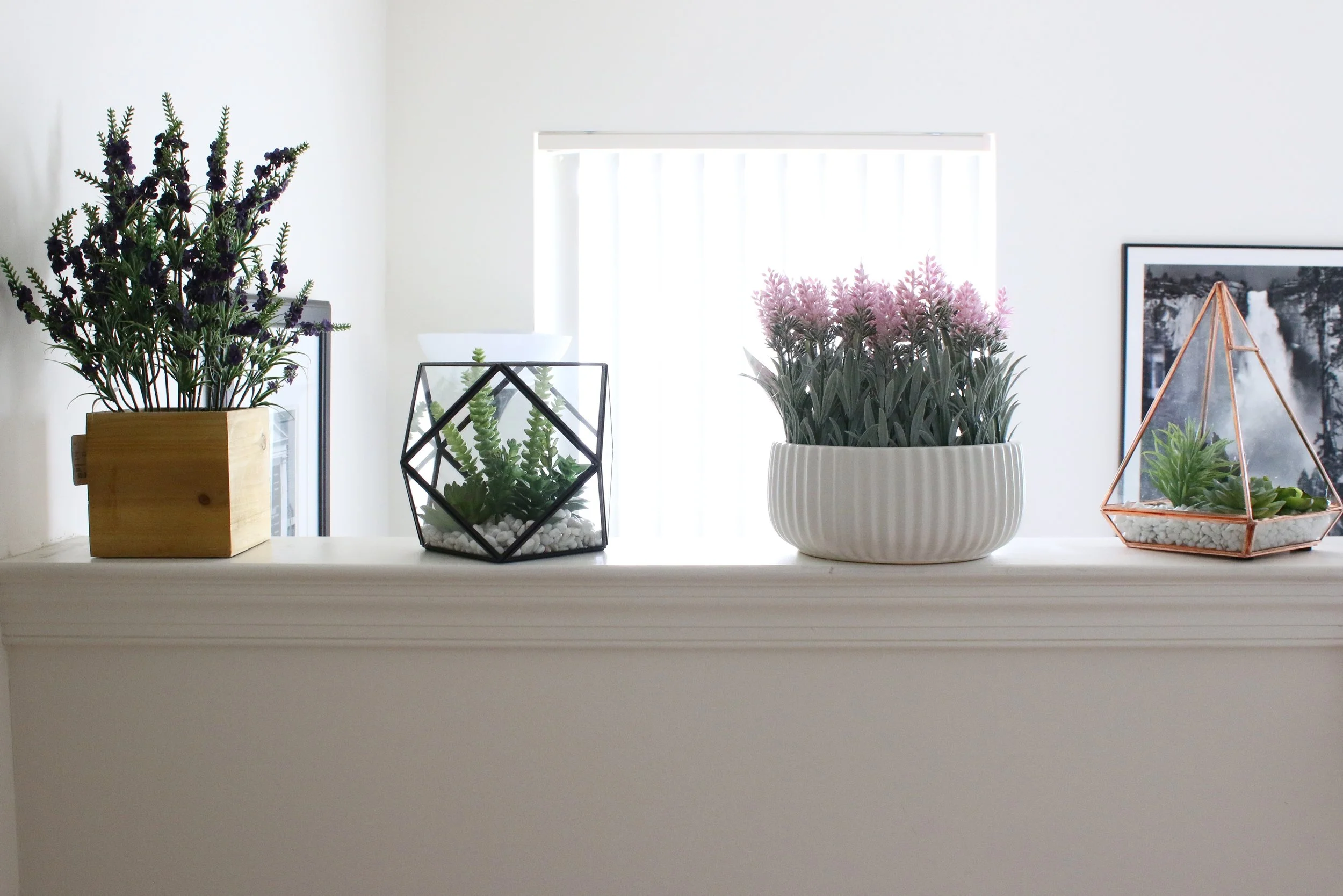 All these faux plants are from Home Sense.