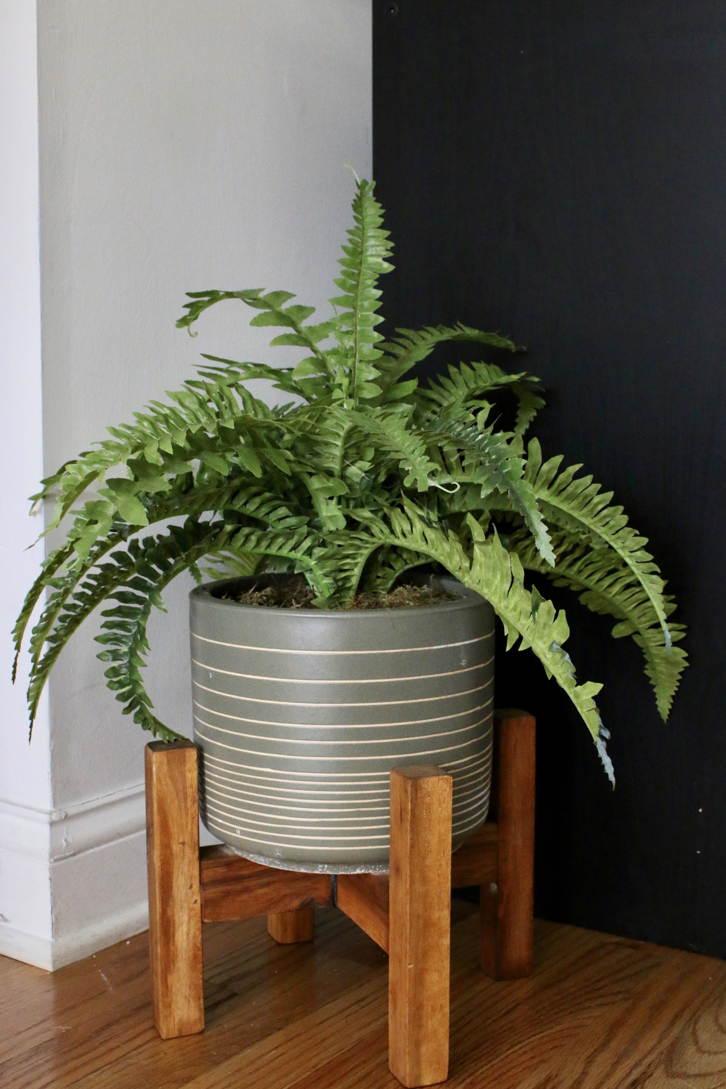 Here's another faux plant from Home Sense