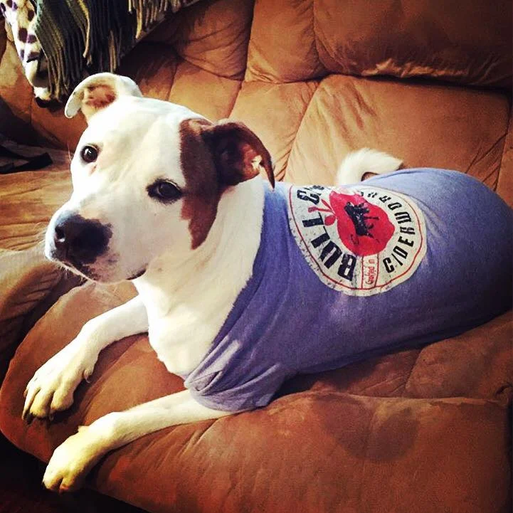 DogTee.jpg