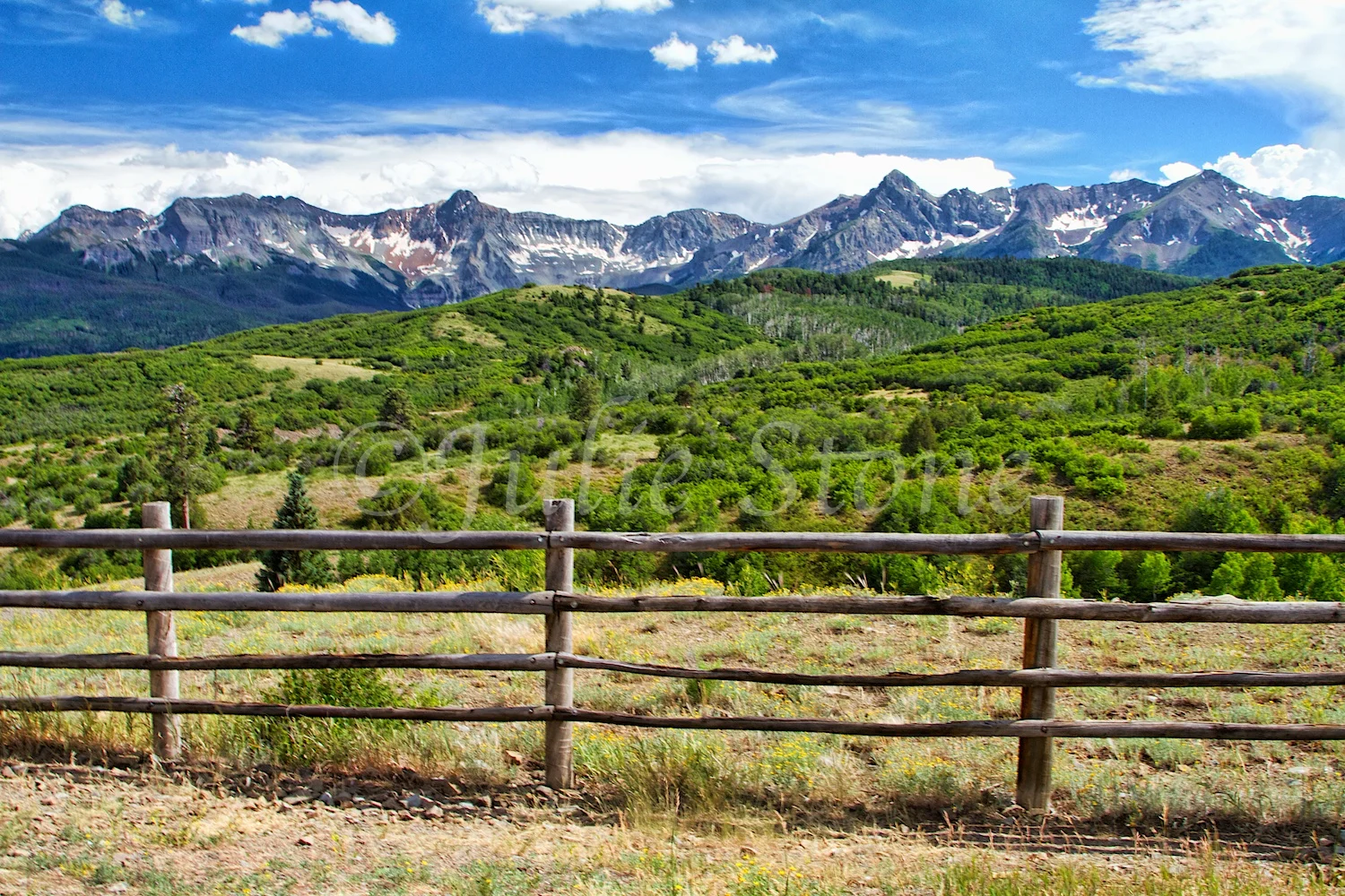 DALLAS DIVIDE 2014