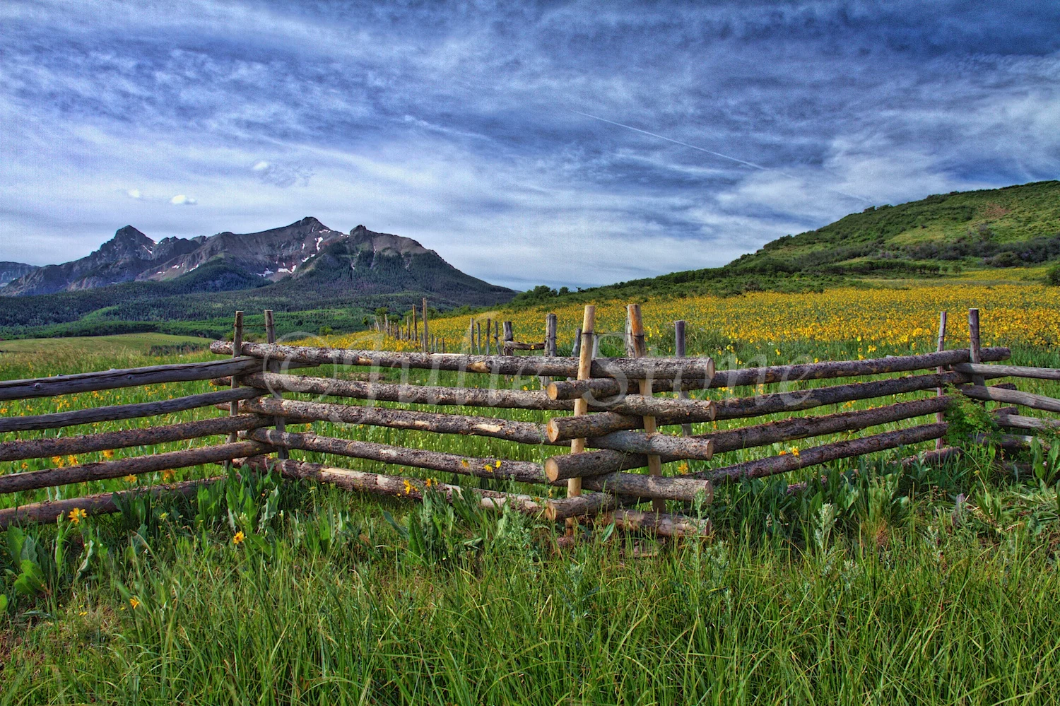 LAST DOLLAR ROAD SUN-KISSED FENCE 2014 (1)