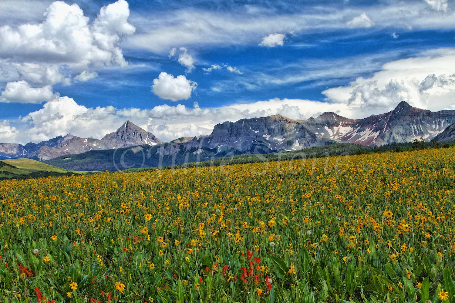 IMG_7263_edit - Version 2_edit.jpg