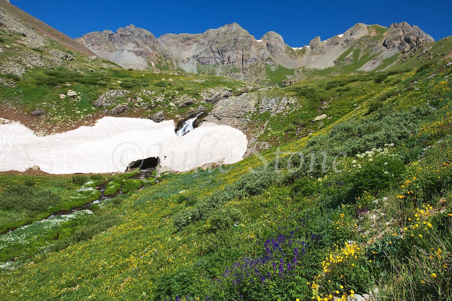 CLEAR LAKE WATERFALL 2014 (2)
