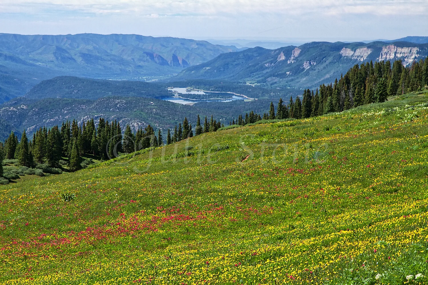 ELECTRA LAKE 2014 (2)