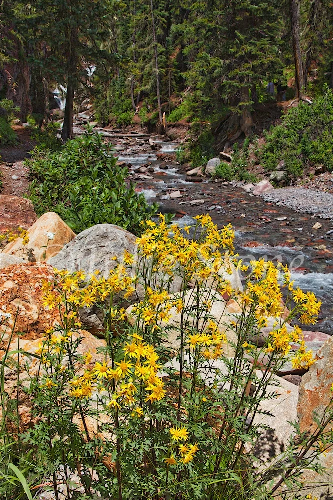 SOUTH MINERAL ROAD 2014 (16)