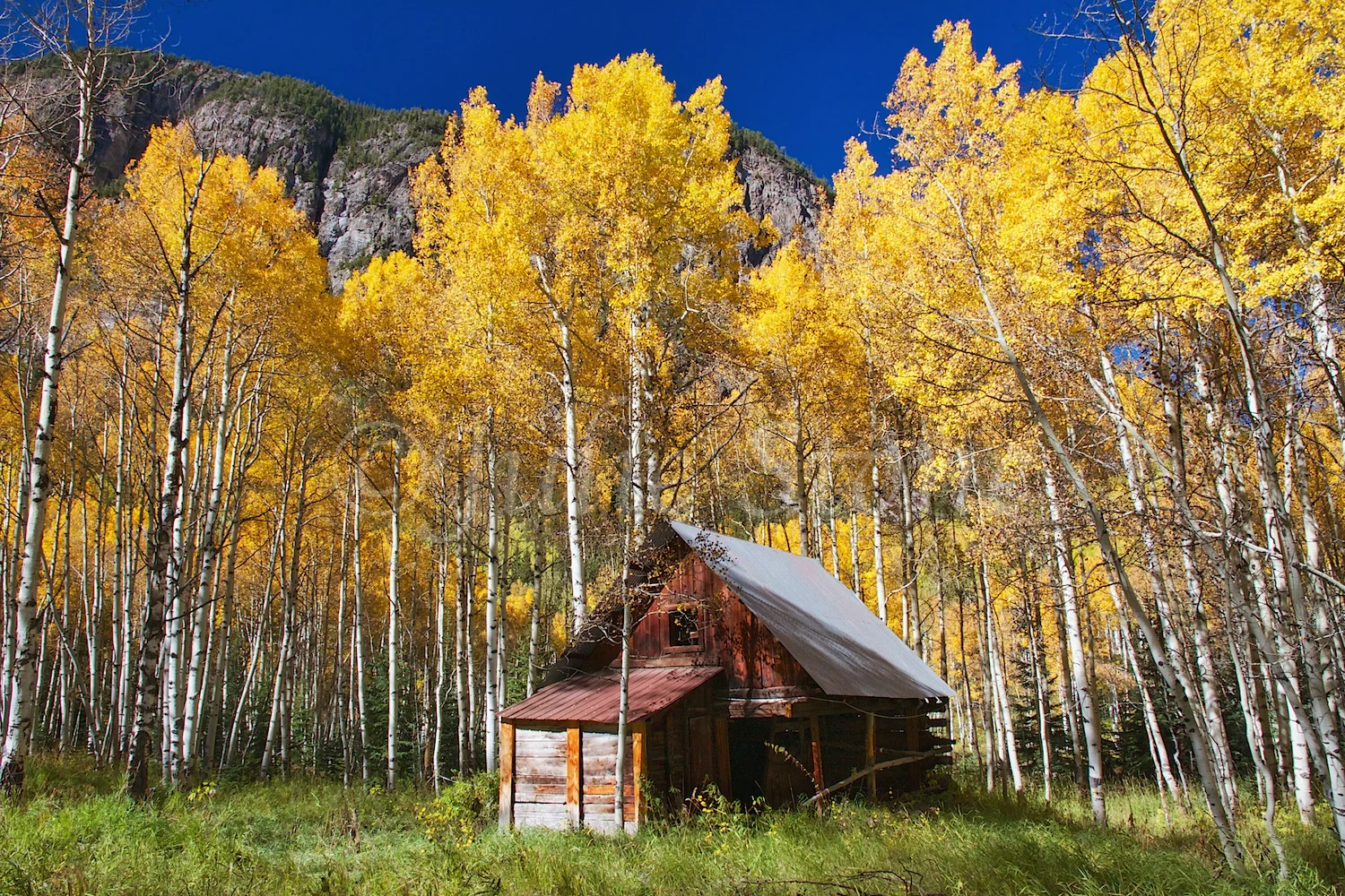 Crystal Ghost Town homesite 2014