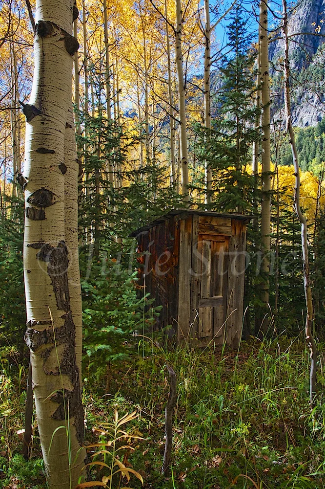 Crystal Ghost Town Outhouse 2014