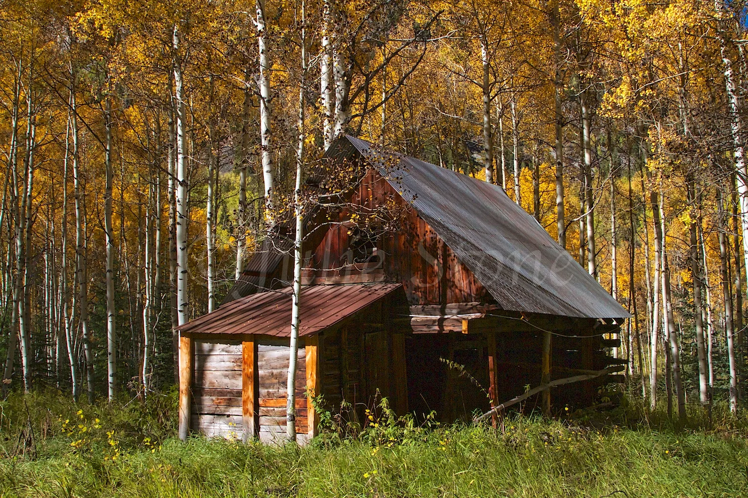 CRYSTAL GHOST TOWN FALL 2014