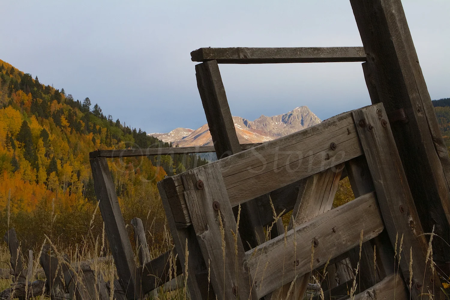 MORNING FALL COLORS 2014 (5)