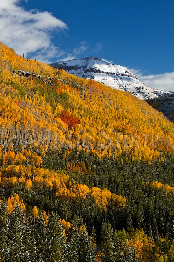 MORNING FALL COLORS 2014 (4)