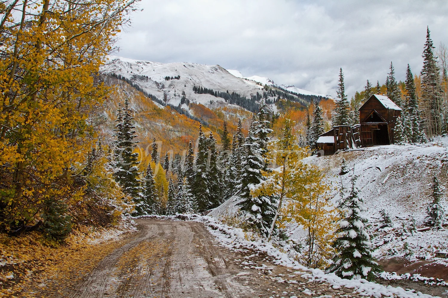 GUSTON MINE FALL 2014 (2)