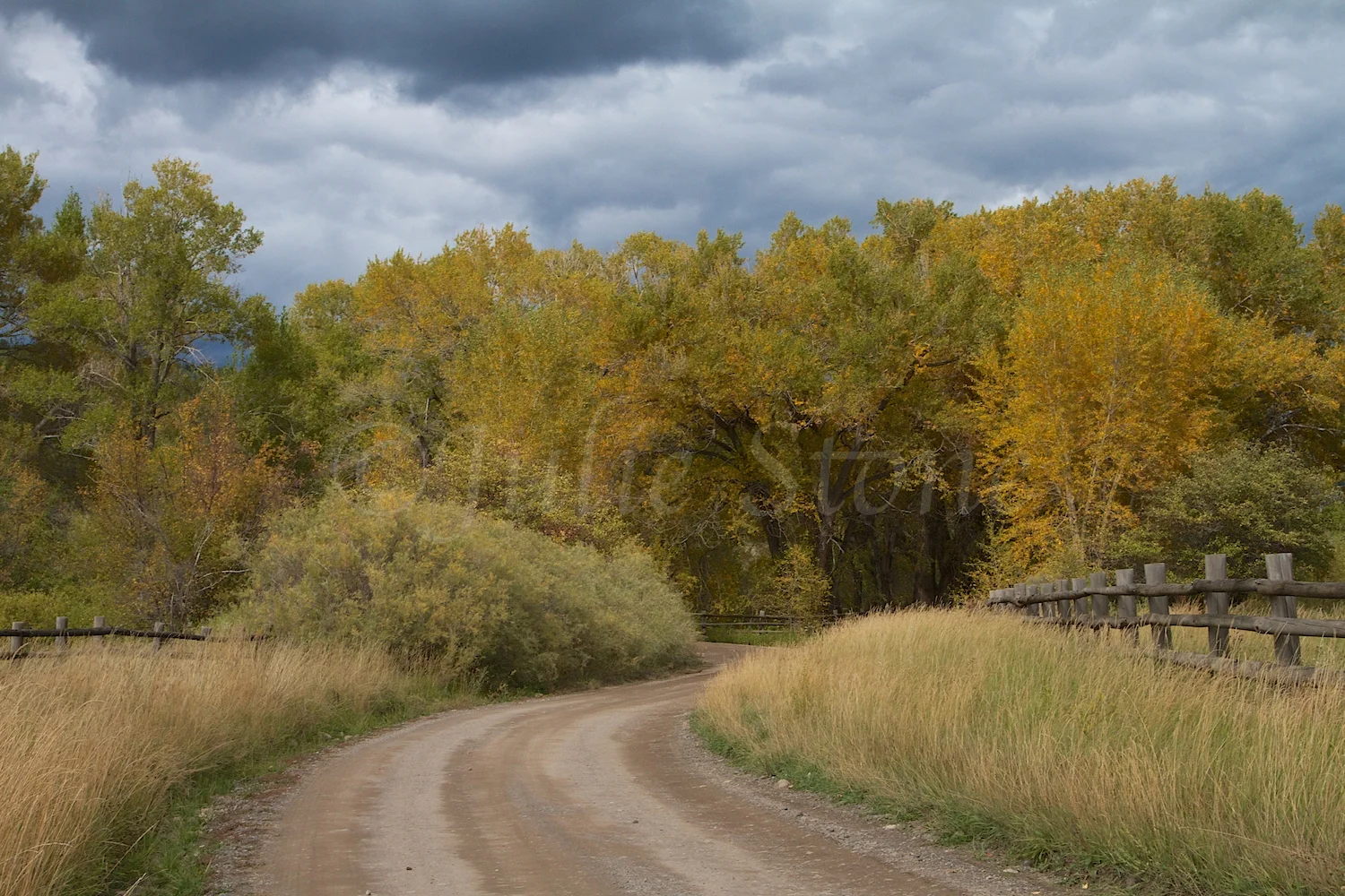 RIDGEWAY FALL 2014 (3)