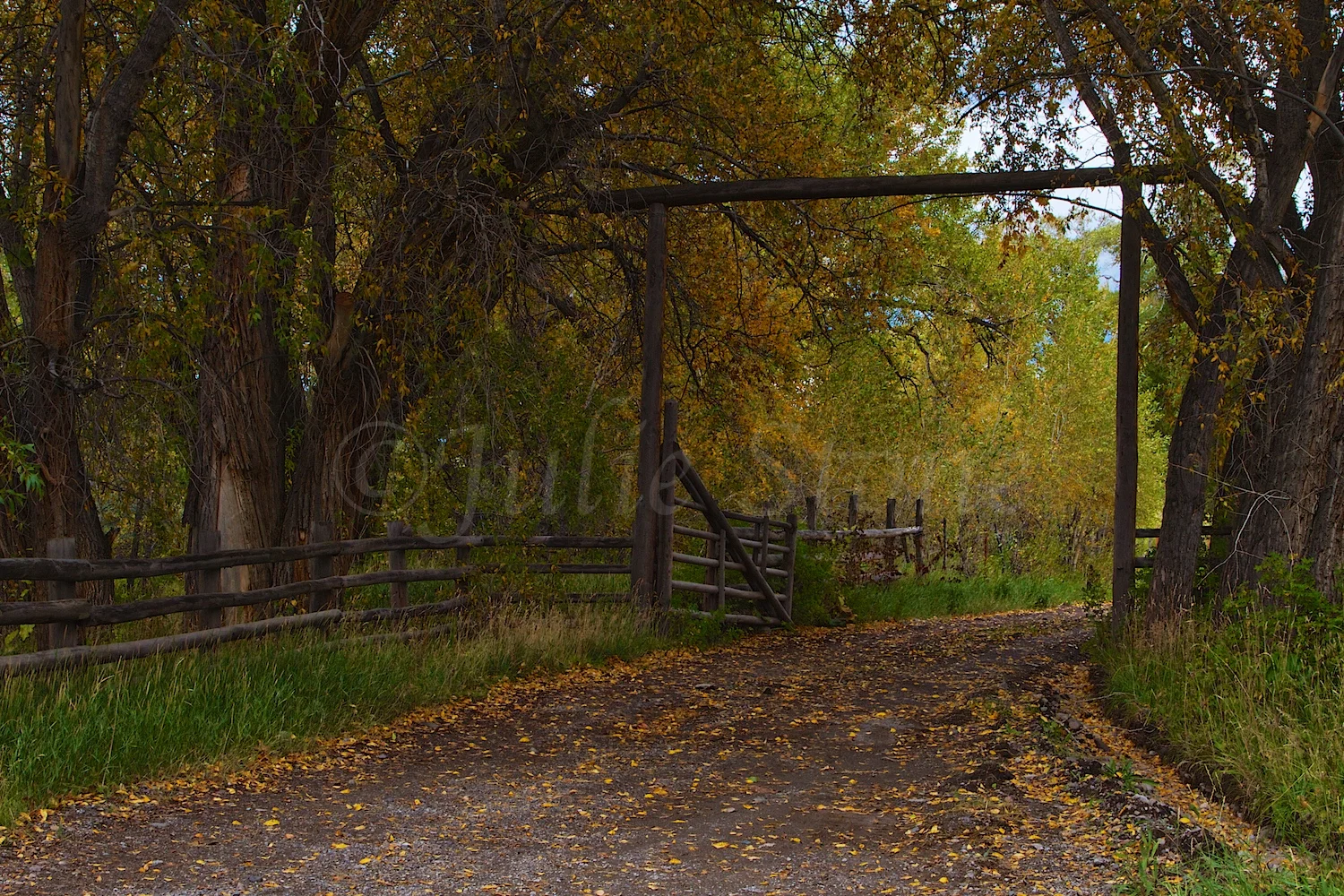 RIDGEWAY FALL 2014 (2)