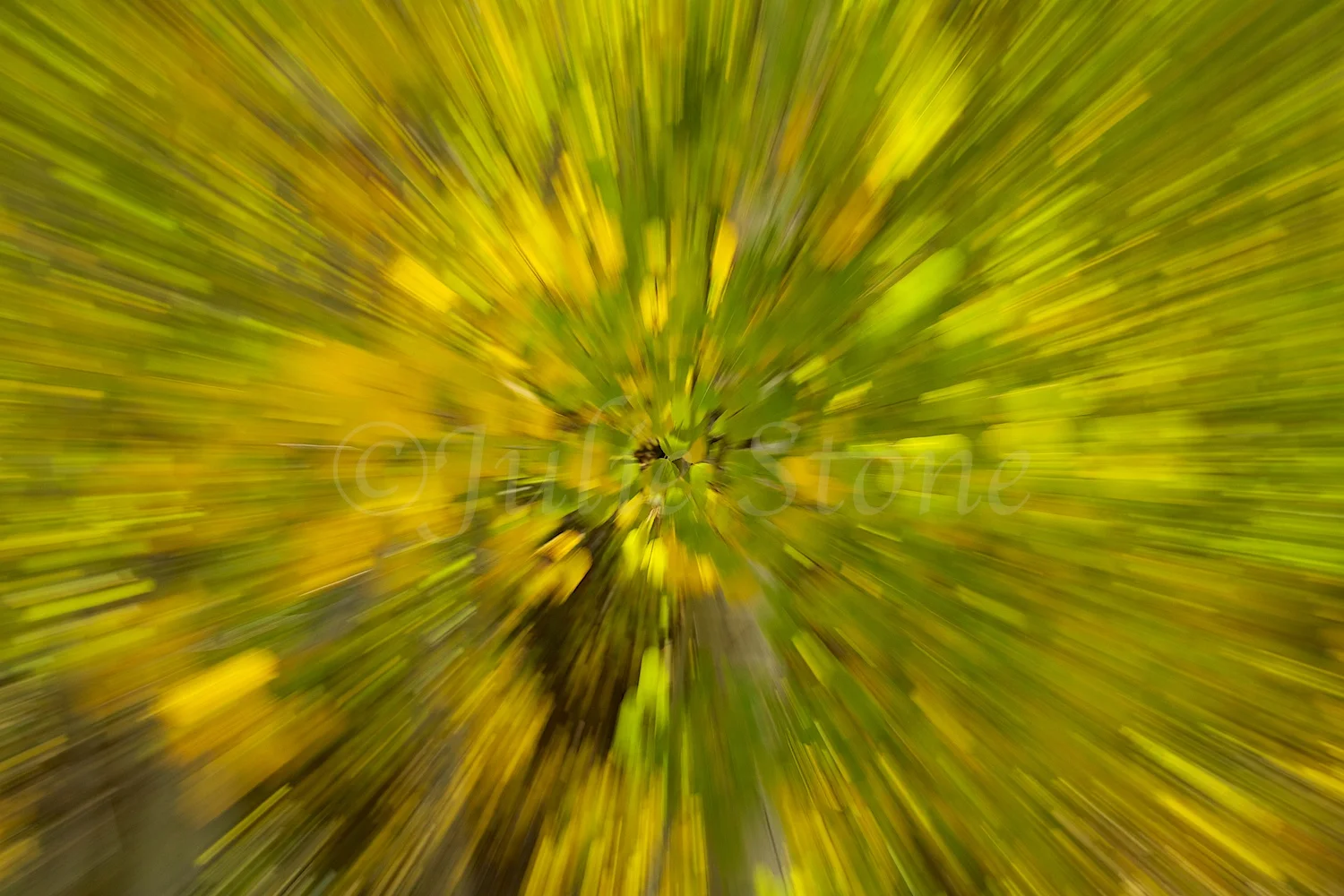 ASPEN KALEIDOSCOPE 2014