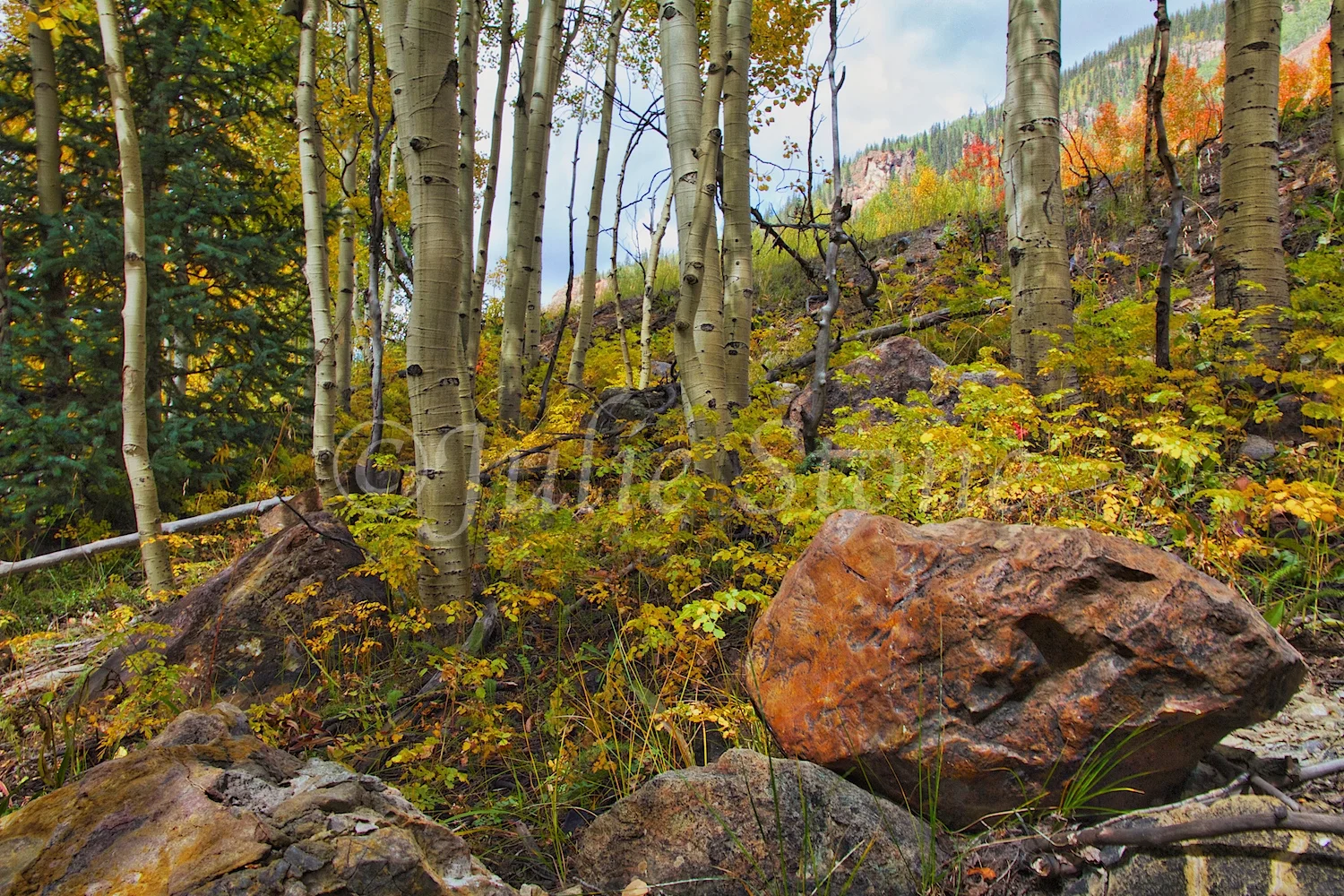 SILVERTON FALL COLOR 2014 (4)