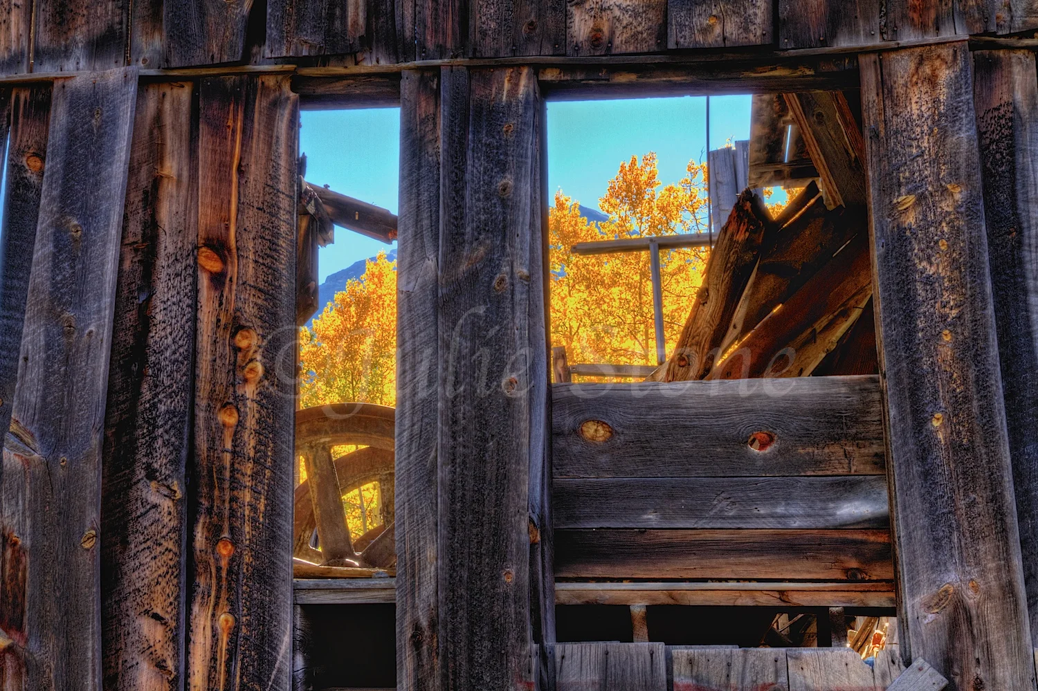 SILVERTON ABANDONED MINE 2014 (2)