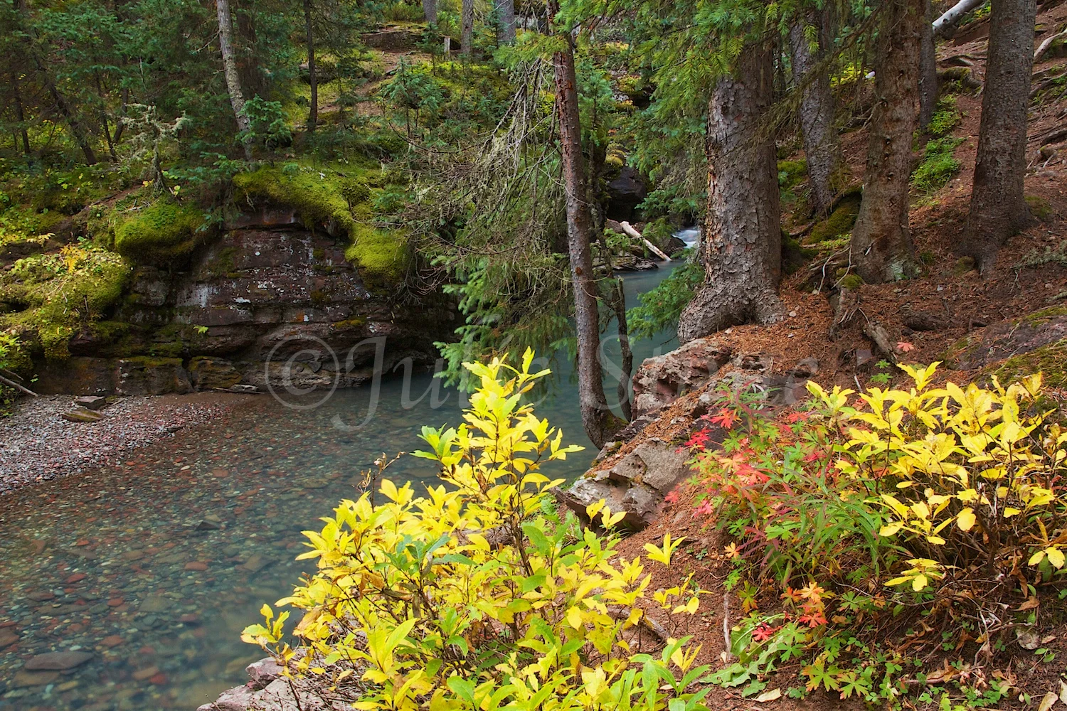 SOUTH MINERAL CREEK FALL 2014 (3)