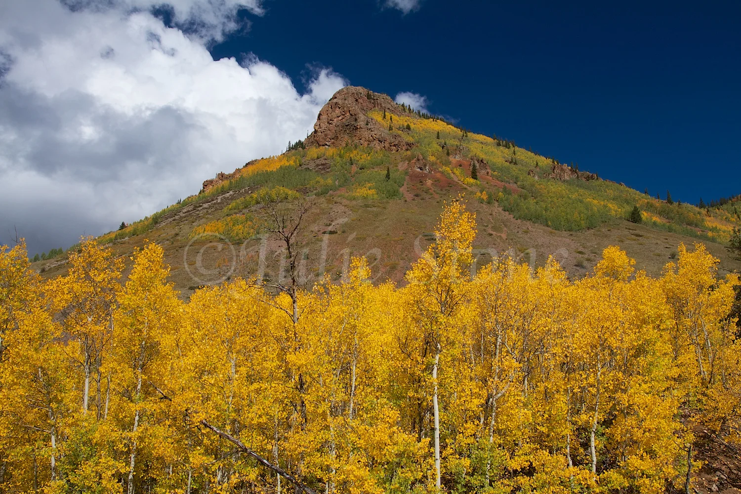 ANVIL MOUNTAIN FALL 2014