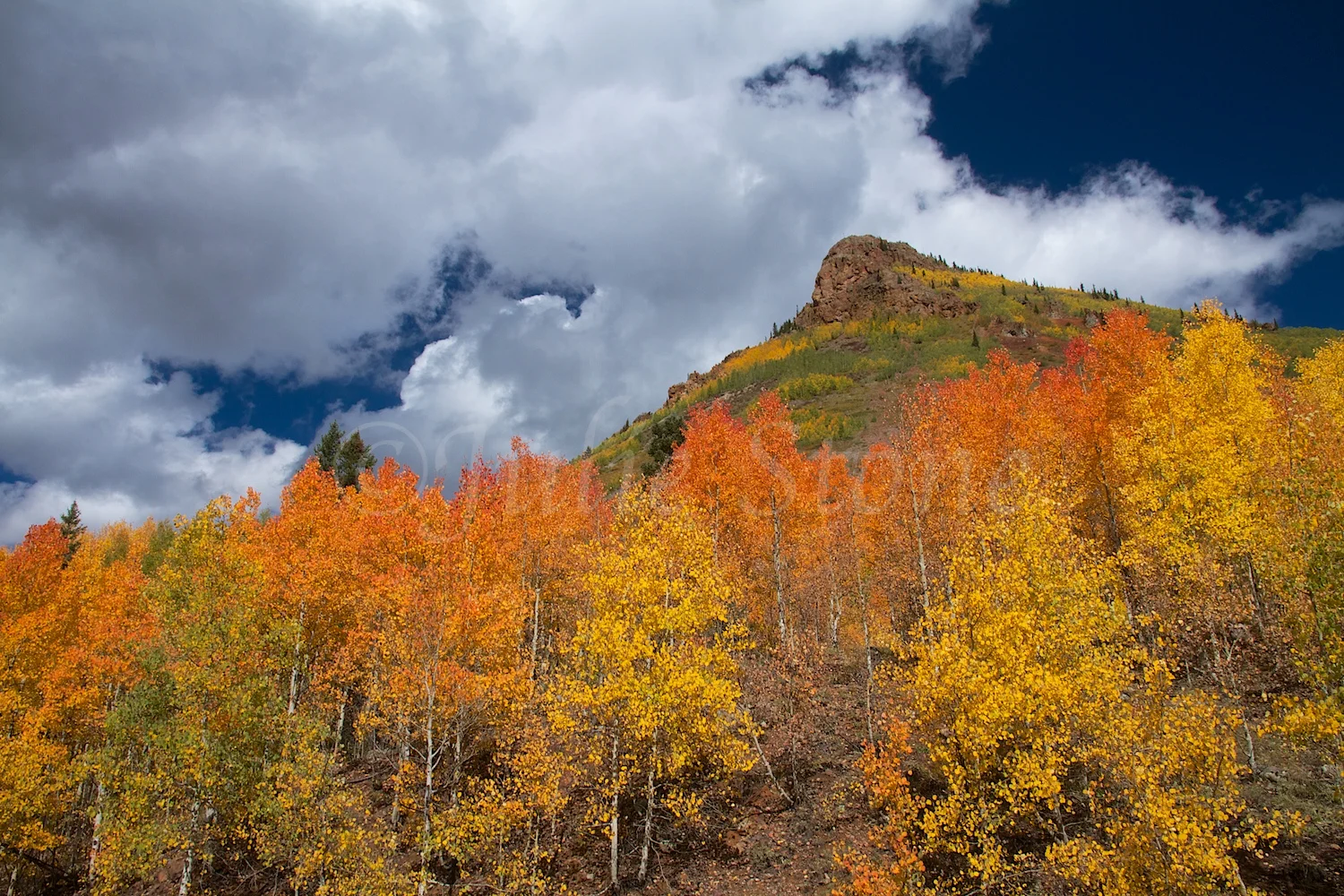 ANVIL MOUNTAIN FALL 2014 (2)
