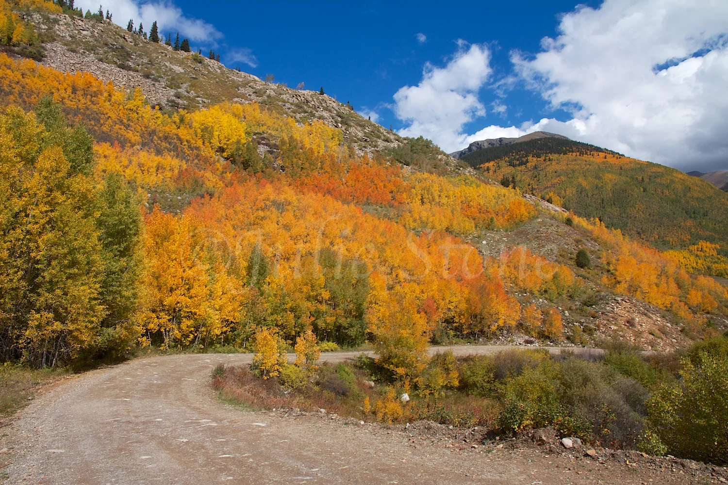 SILVERTON FALL COLORS 2014 (9)