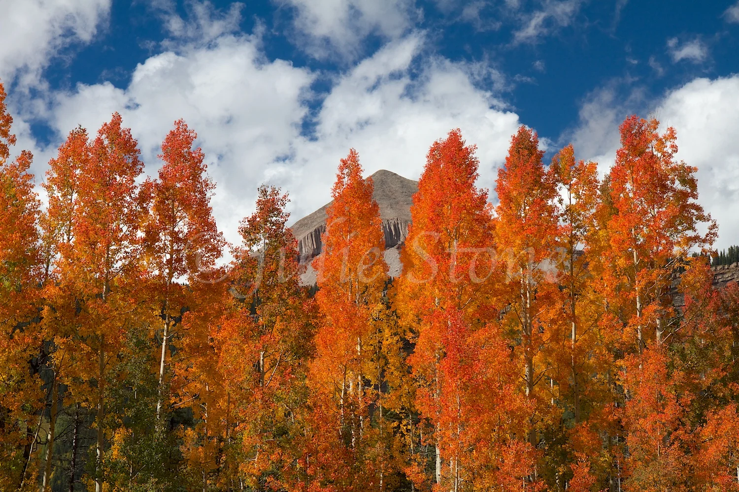 ENGINEER FALL COLORS 2014 (2)