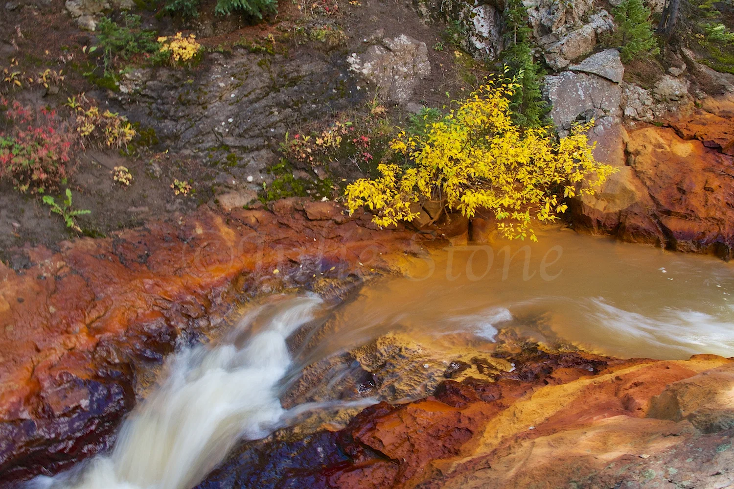 RED MOUNTAIN PASS WATERFALL FALL 2014