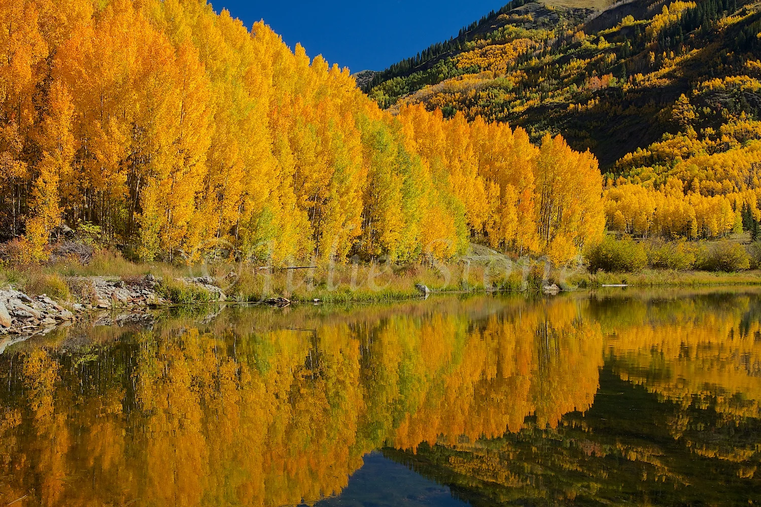 CRYSTAL LAKE FALL 2014 (3)