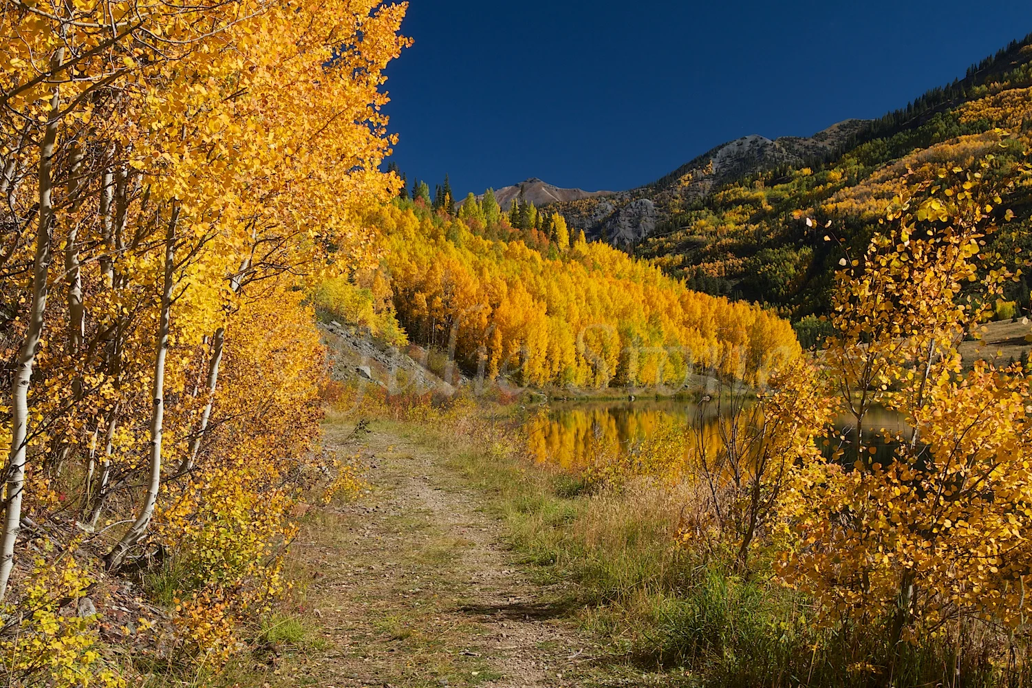 CRYSTAL LAKE FALL 2014 (4)